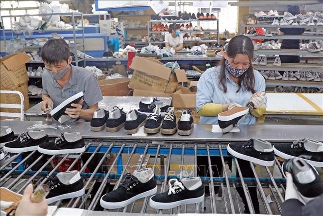 Xuất khẩu da giày năm 2024 dự kiến đạt khoảng 26 - 27 tỷ USD. Ảnh: Trần Việt