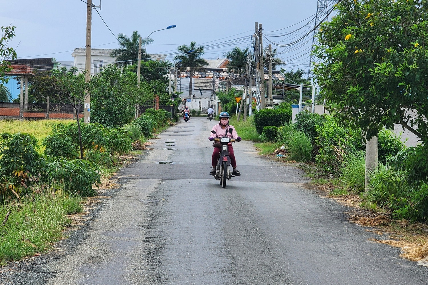 Long Sơn 3.jpg