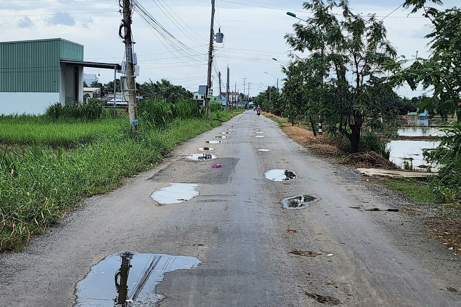 Long Sơn 2.jpg