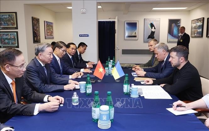 Tổng Bí thư, Chủ tịch nước Tô Lâm gặp Tổng thống Ukraine Volodymyr Zelensky. Ảnh: Lâm Khánh/TTXVN