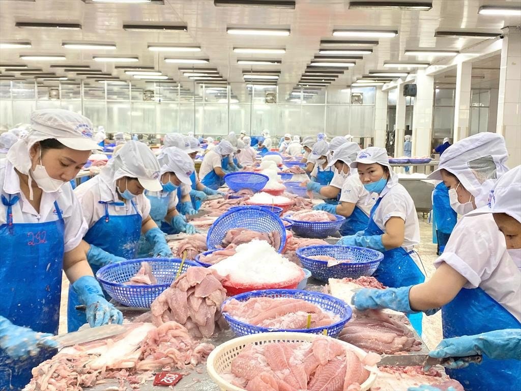 20240913155044391tang-truong-xuat-khau-ca-tra-gtgt-viet-nam-ra-the--2076-1.jpeg