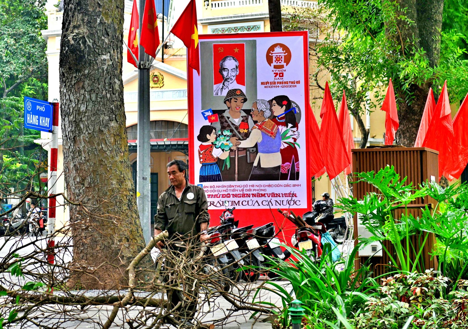 DSC_8411.JPG