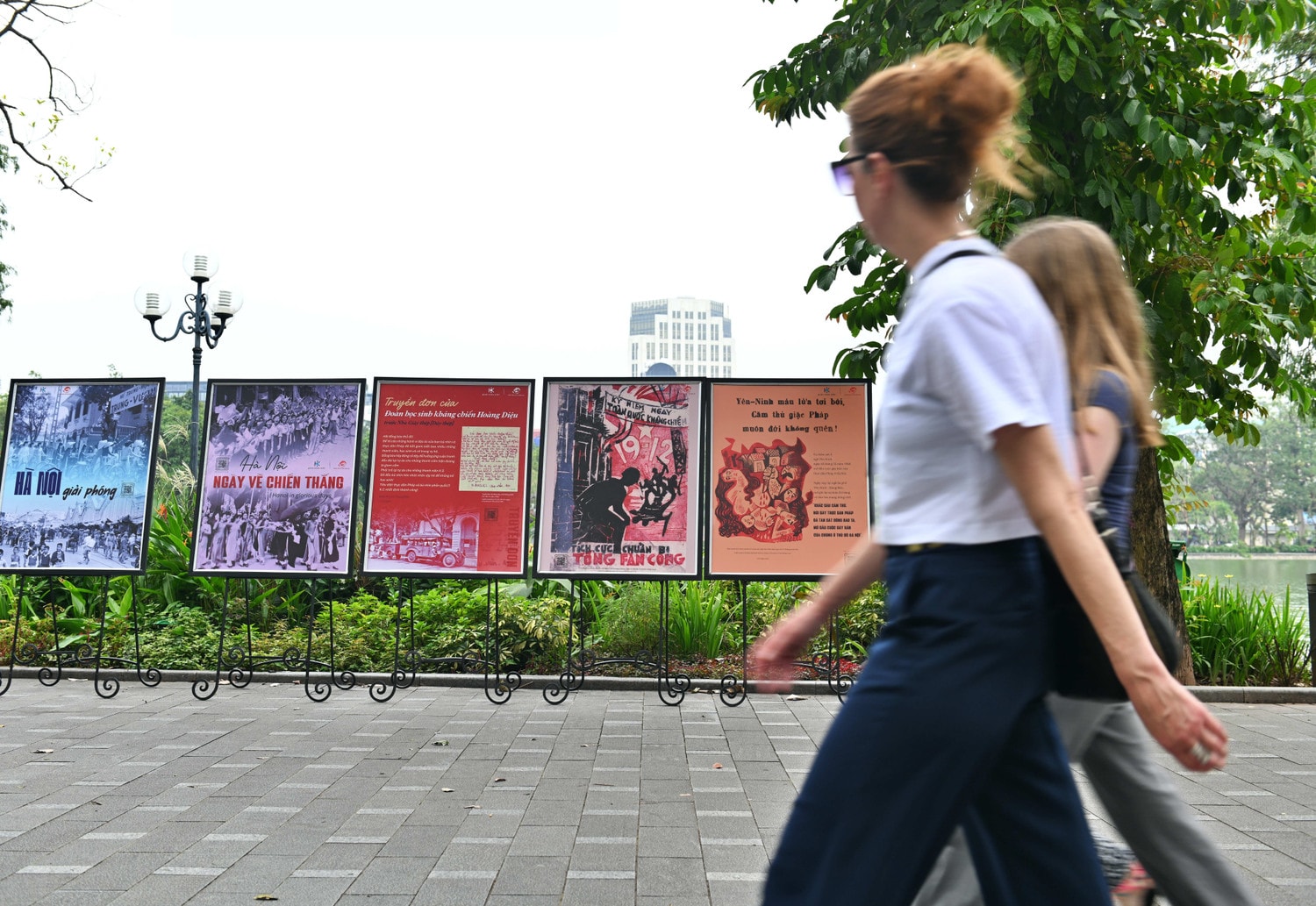 DSC_8334.JPG