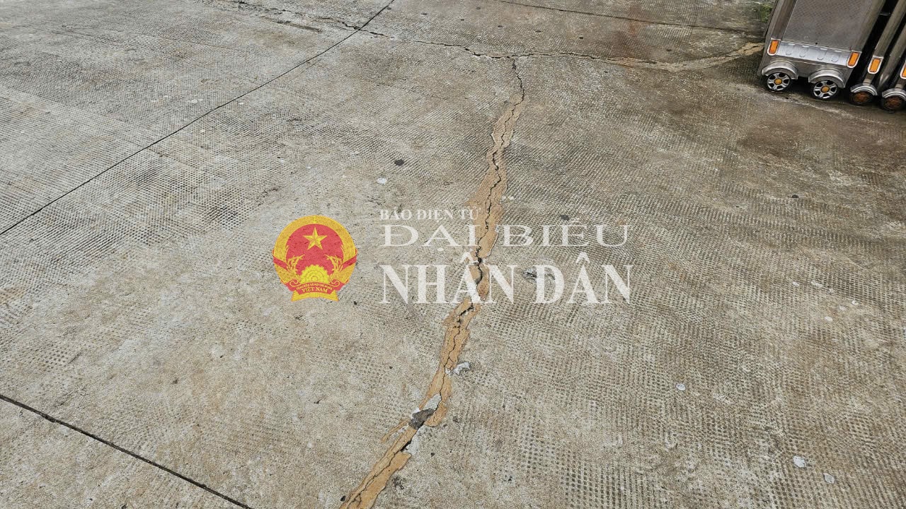 z5881758863869_6160fd732589343b65cfc62fb87a4eb3.jpg