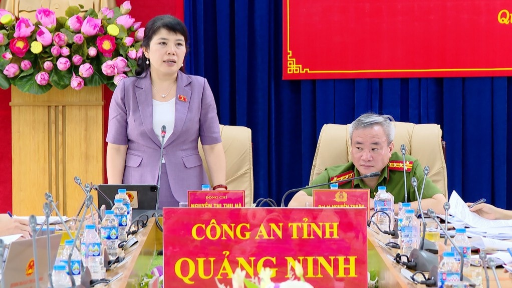 Phó trưởng Đoàn chuyên trách Đoàn ĐBQH tỉnh Nguyễn Thị Thu Hà phát biểu tại hội nghị