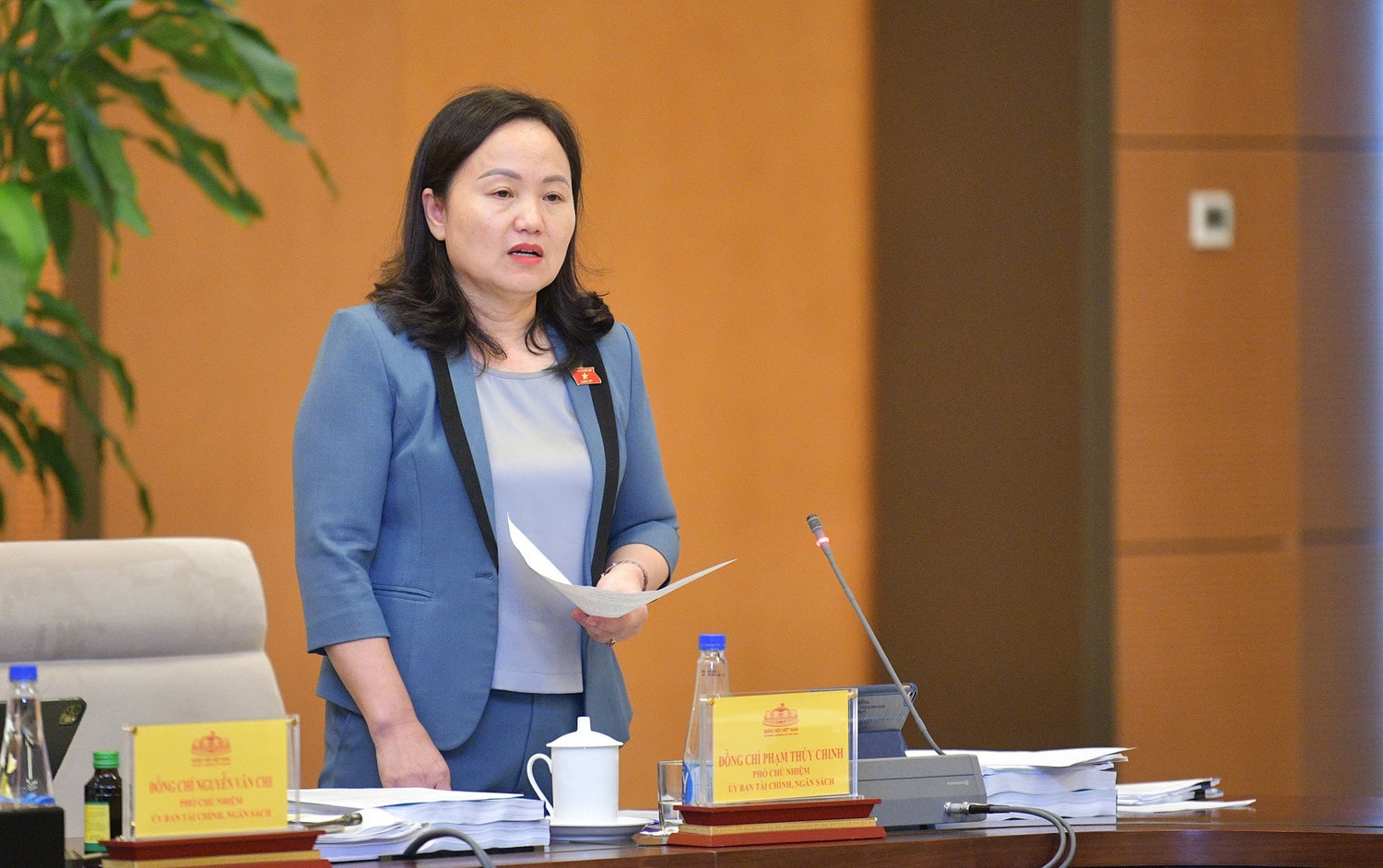 pham-thuy-chinh-3300.jpg