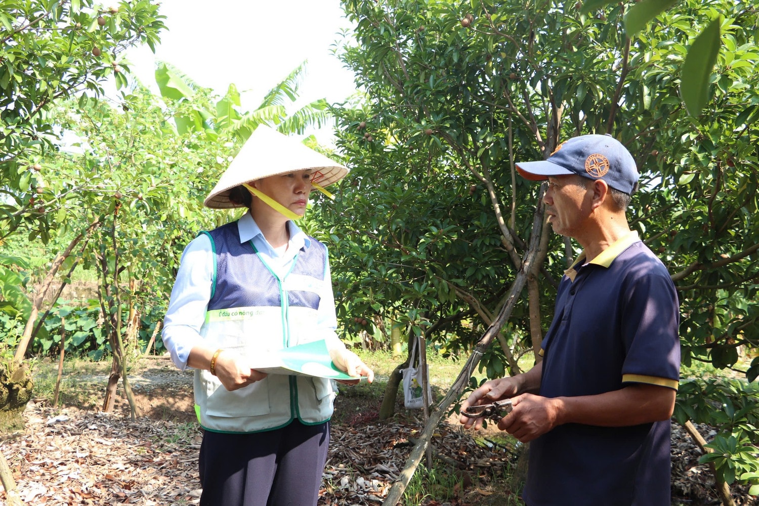 anh-2-4335.jpg