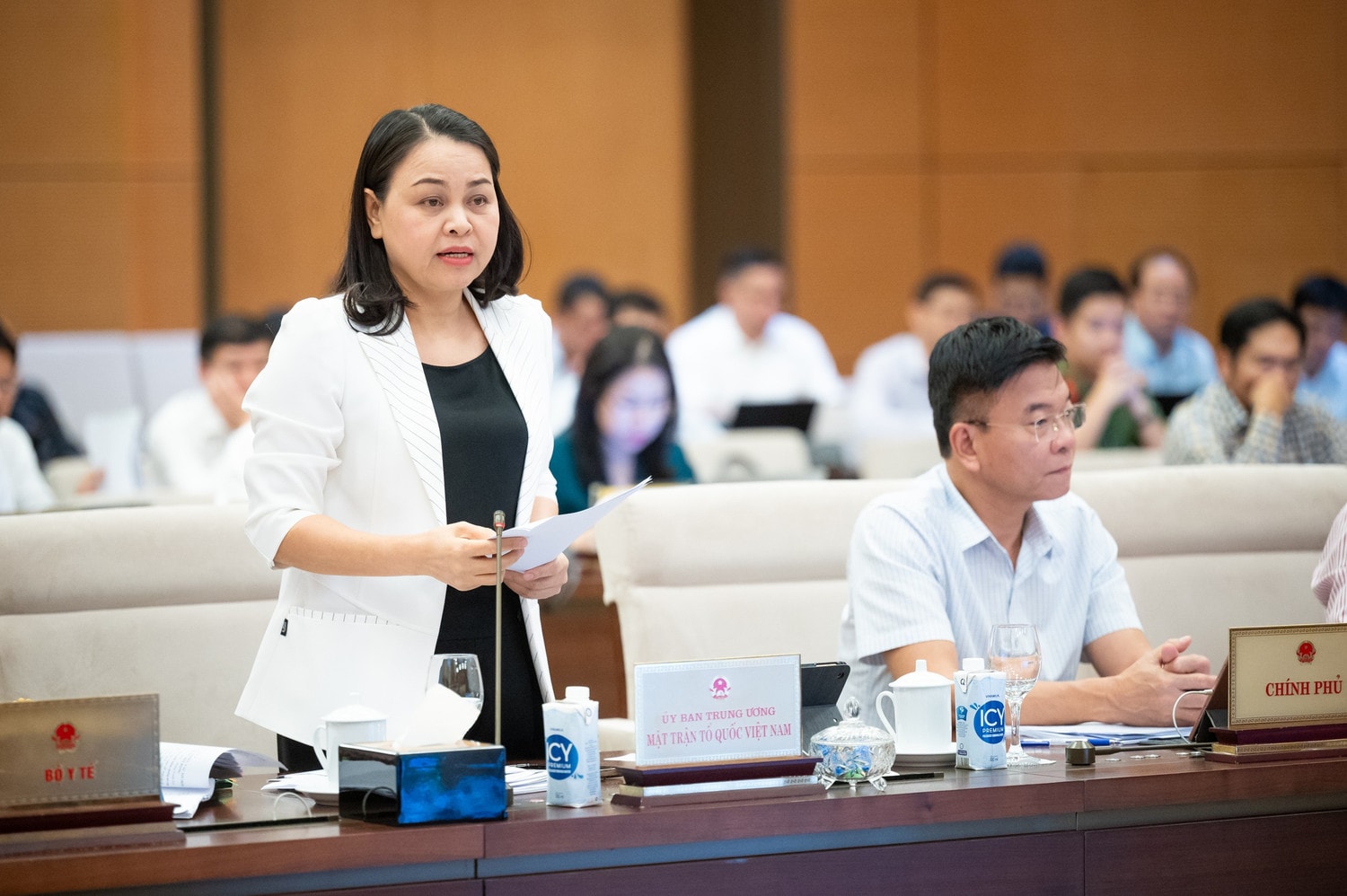 pho-chu-tich-tong-thu-ky-uy-ban-trung-uong-mat-tran-to-quoc-viet-nam-nguyen-thi-thu-ha-9731.jpg
