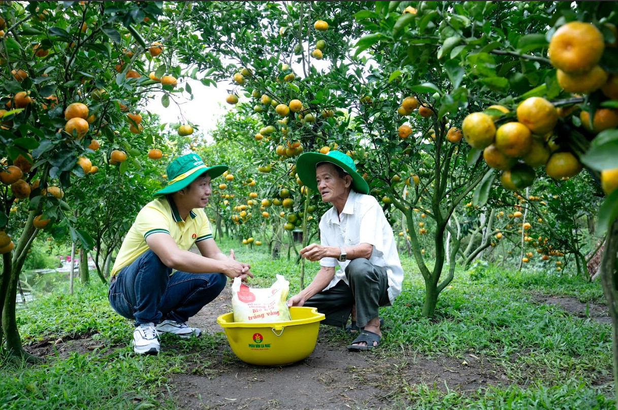 ky-su-phan-bon-ca-mau-tu-van-ky-thuat-phuong-phap-su-dung-phan-bon-cho-nong-dan-2469.png