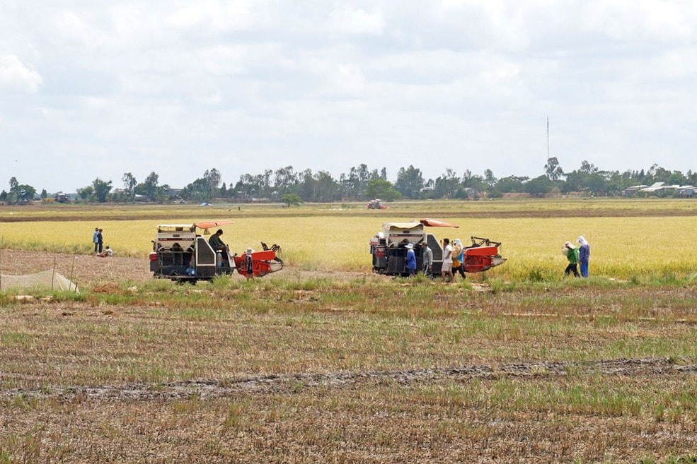 cty-dong-thap-1-3209.jpg