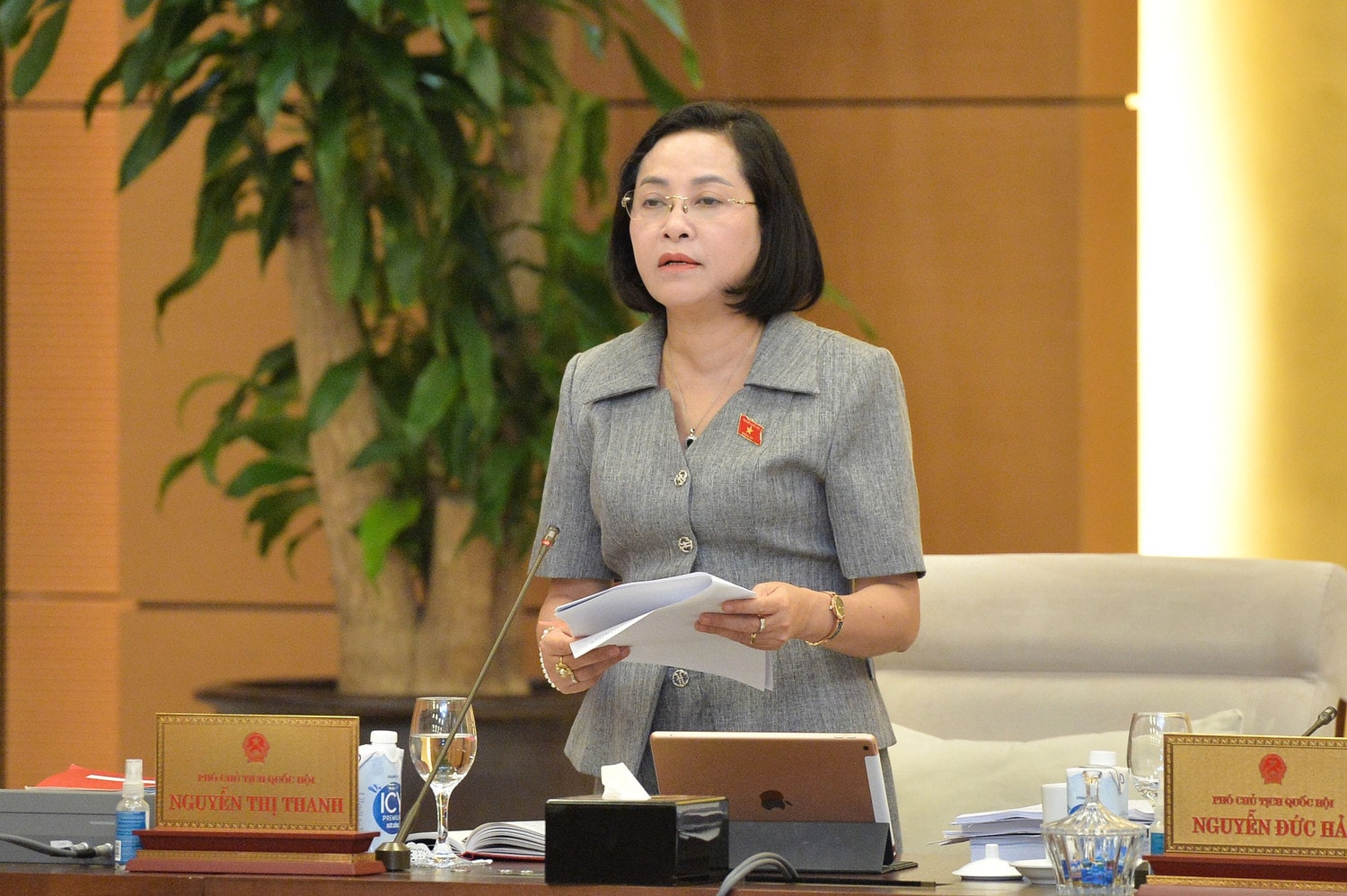 pho-chu-tich-qh-nguyen-thi-thanh-4801.jpg