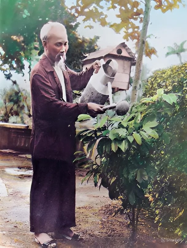 bacho-464.jpg