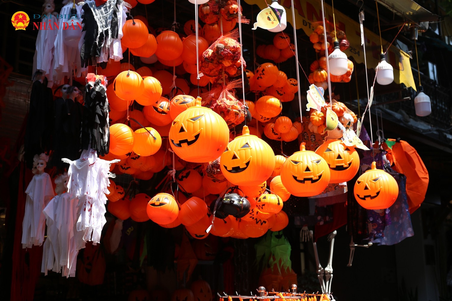halloween-4-6747.jpg
