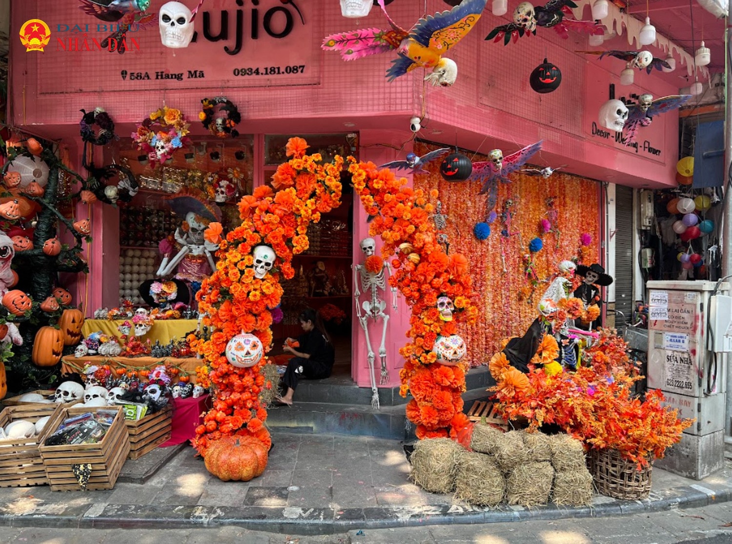 halloween-1-9943.jpg