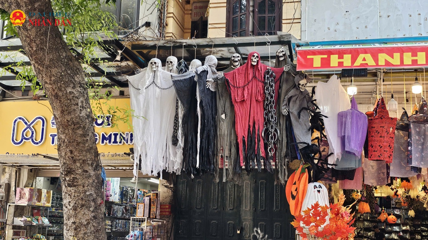 halloween-7-1876.jpg