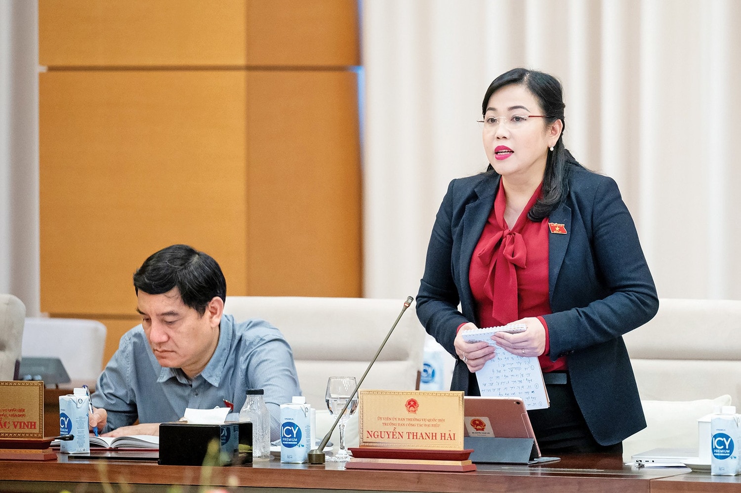 truong-ban-cong-tac-dai-bieu-nguyen-thanh-hai-981.jpg