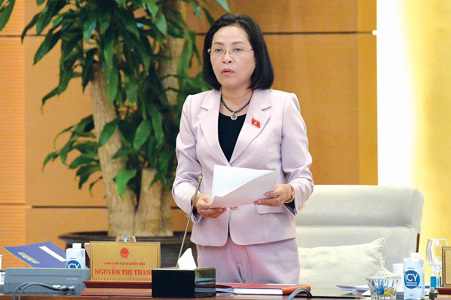 pho-chu-tich-qh-nguyen-thi-thanh-phat-bieu-6892.jpg