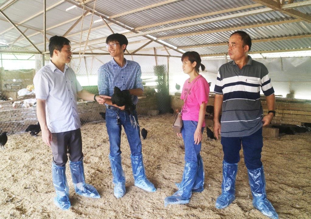 Giám đốc Sở Khoa học và Công nghệ Bế Đăng Khoa kiểm tra đề tài “Nghiên cứu bảo tồn và phát triển nguồn gen gà xương đen, thịt đen bản địa (gà Mông)