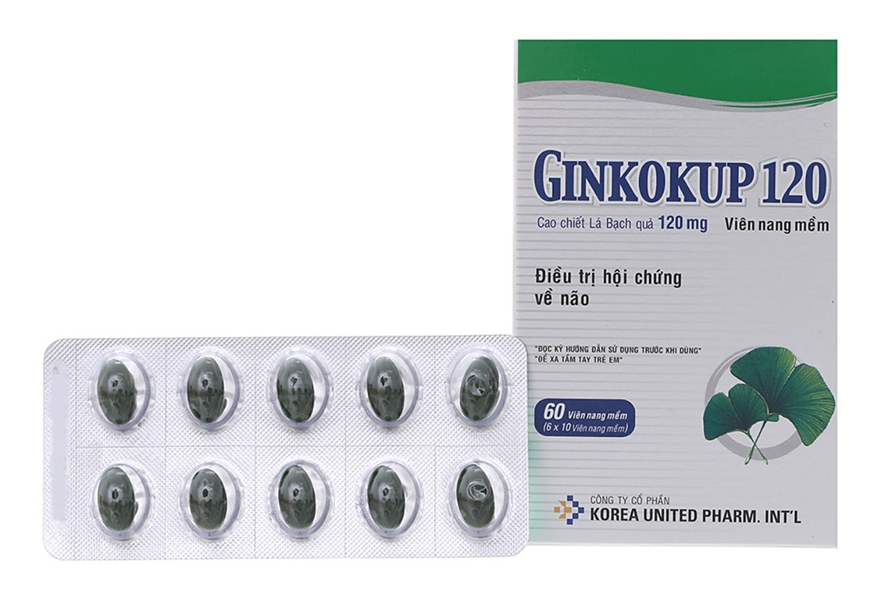 ginkokup-120-229.jpg