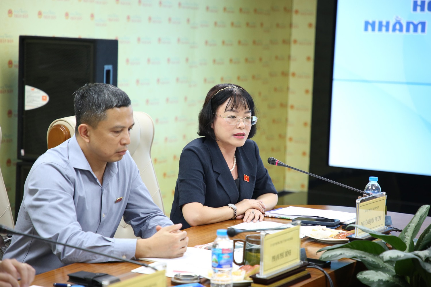 Phó Chủ nhiệm Ủy ban Pháp luật Nguyễn Thị Mai Phương cho rằng cần thiết ban hành Luật tham gia lực lượng gìn giữ hòa bình của Liên Hợp Quốc. Ảnh: Duy Thông