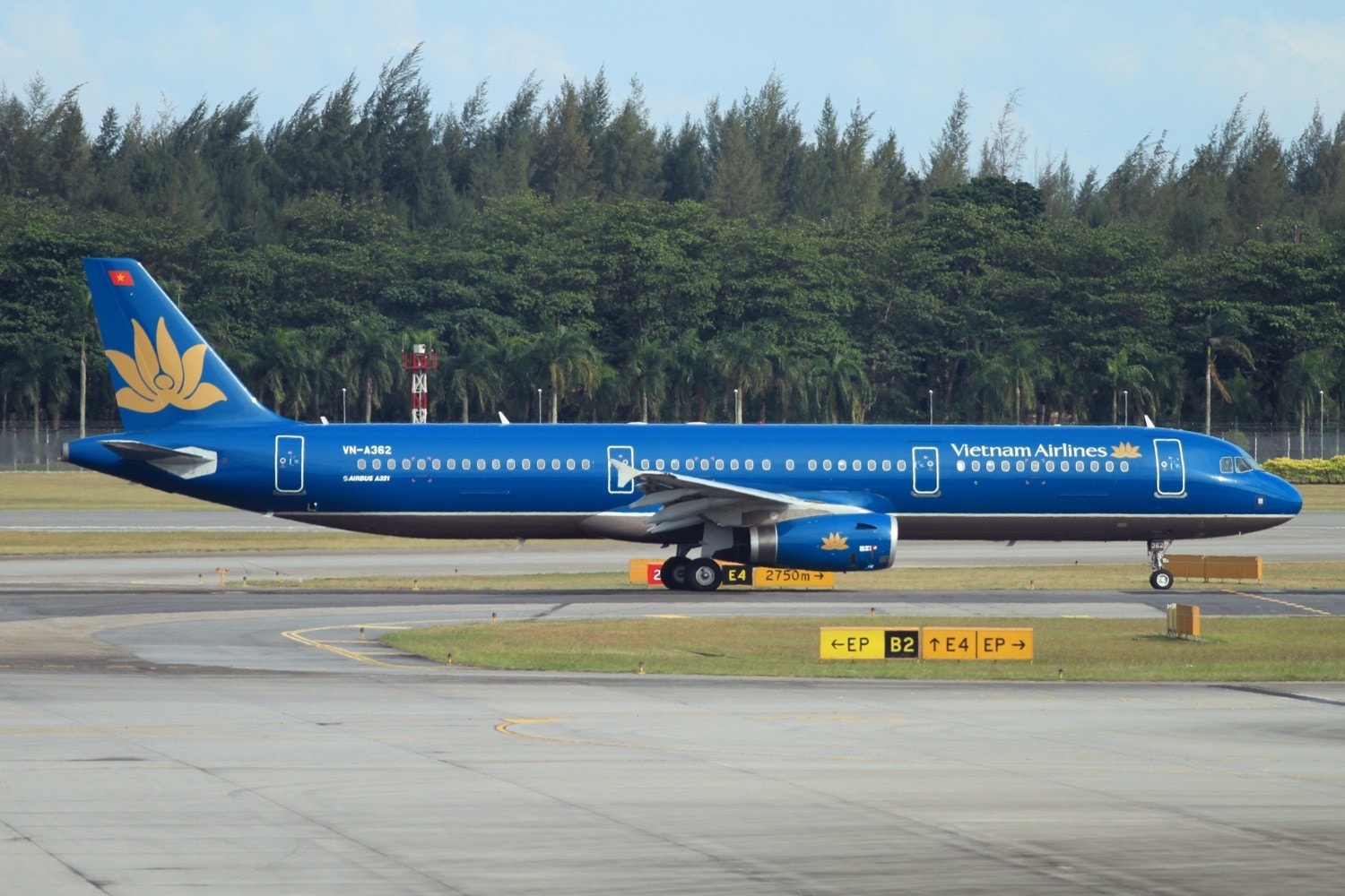 2b3760ff2901905fc910-7413.jpg
