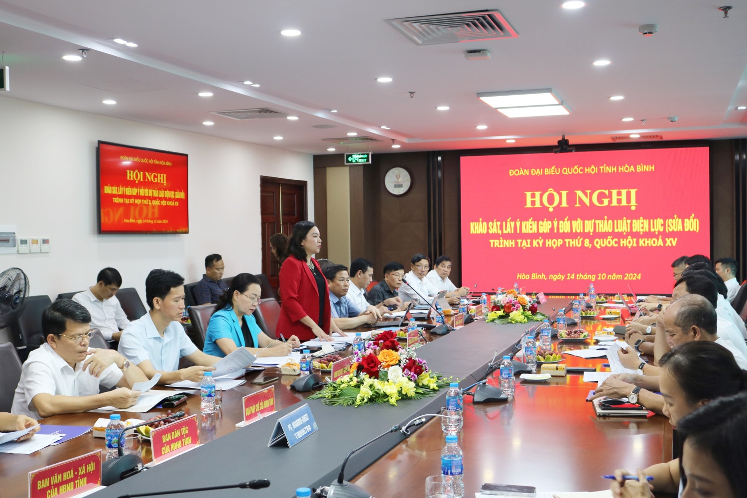 Phó Trưởng Đoàn chuyên trách phụ trách Đoàn ĐBQH tỉnh Hòa Bình Đặng Bích Ngọc phát biểu tại hội nghị. Ảnh: Hải Dương