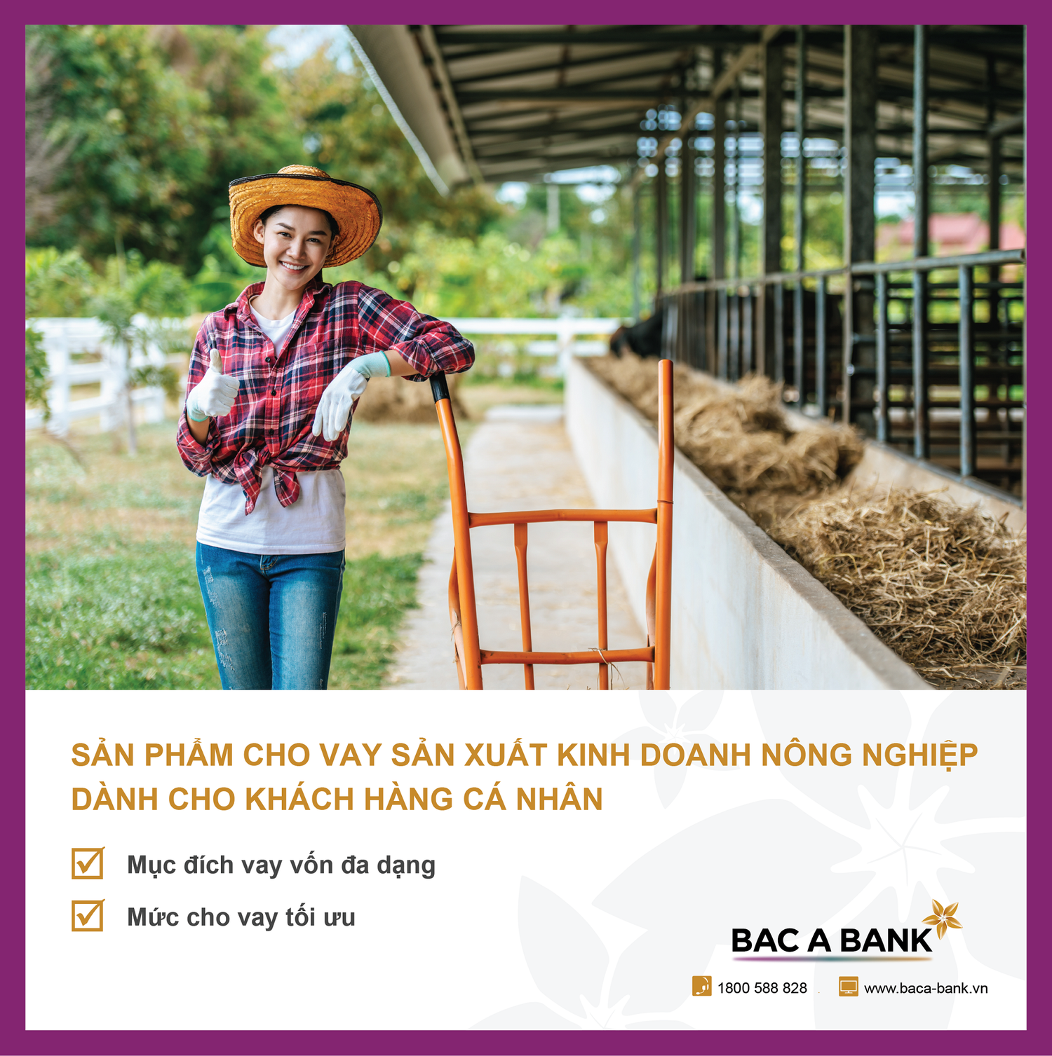 fb-cho-vay-sxkd-nong-nghiep-05-6163.png