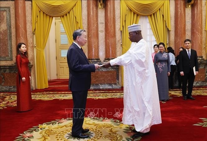 Tổng Bí thư, Chủ tịch nước Tô Lâm nhận Quốc thư từ Đại sứ Cộng hoà Niger tại Việt Nam Garba Seyni. Ảnh: Lâm Khánh/TTXVN