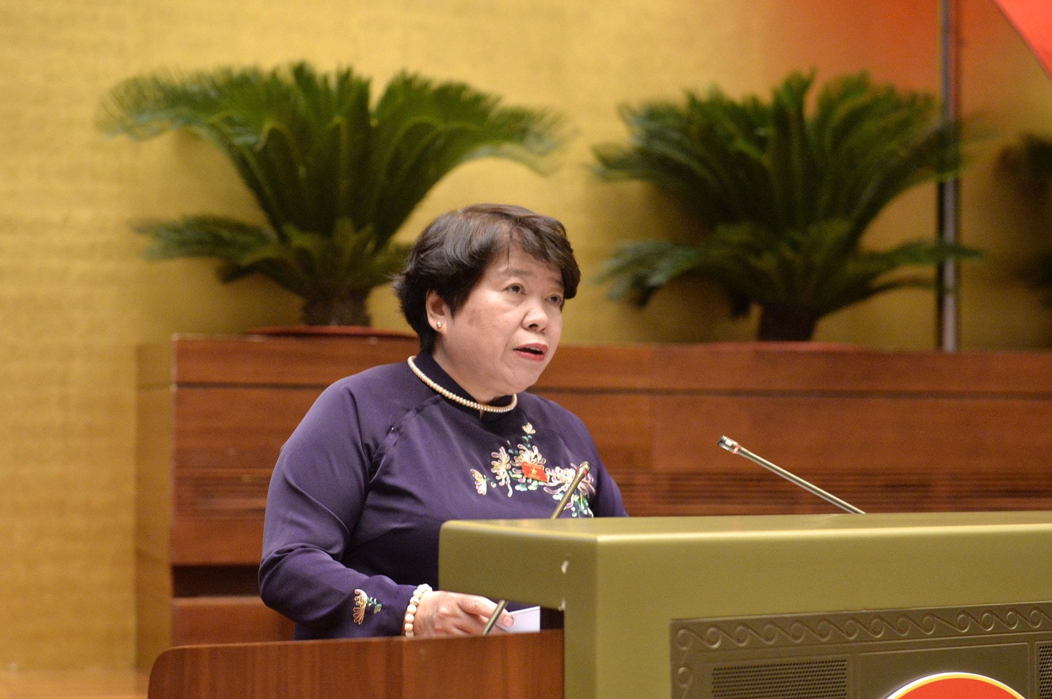 chu-nhiem-uy-ban-xa-hoi-nguyen-thuy-anh-2093-7363.jpg