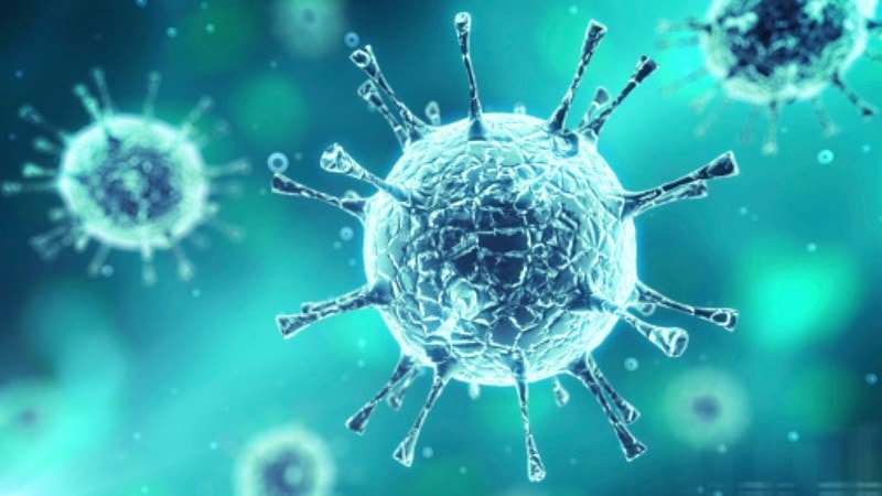 20220319-nhiem-enterovirus-1-4645-4890.jpg