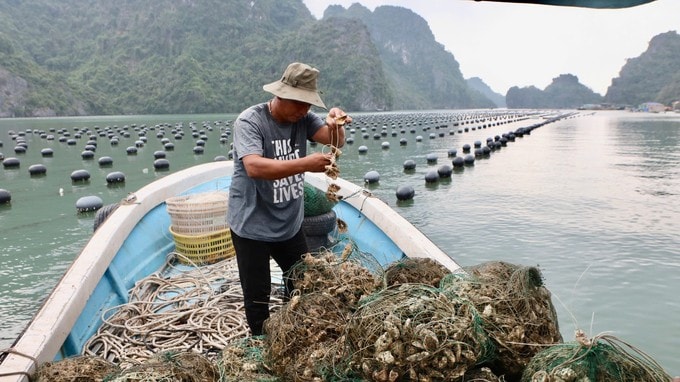viec-giao-mat-nuoc-tao-tien-de-vung-chac-giup-nguoi-dan-an-cu-lac-nghiep-anh-nguyen-thanh-8145-646.jpg