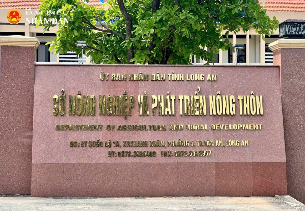 11-9073-3393.jpg