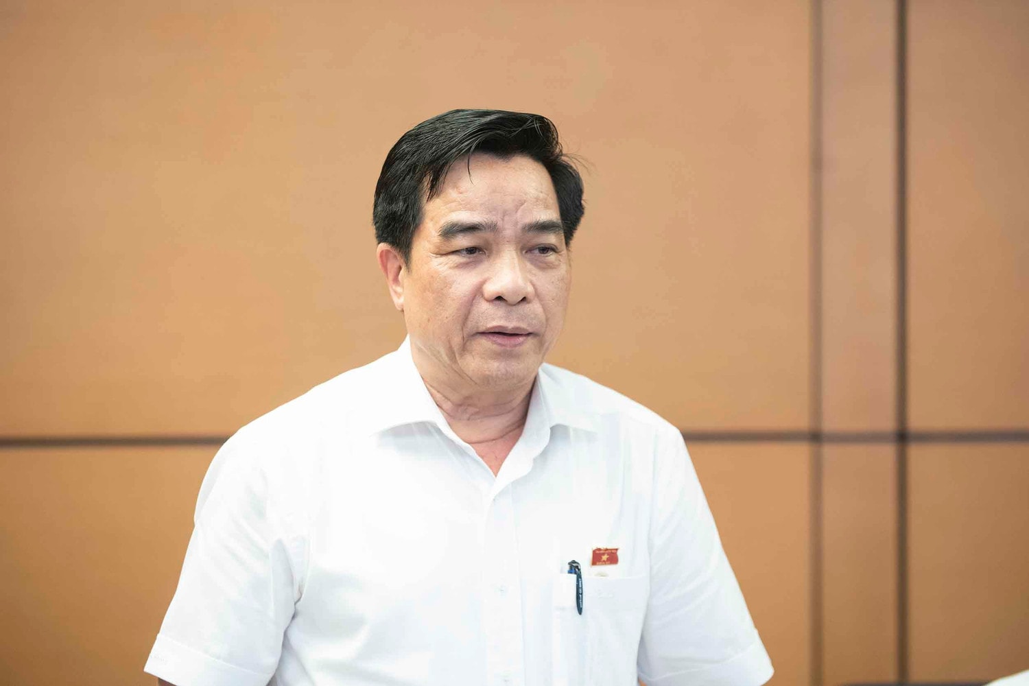 ĐBQH Lê Văn Dũng (Quảng Nam) phát biểu tại Tổ - Ảnh: Lê Bình