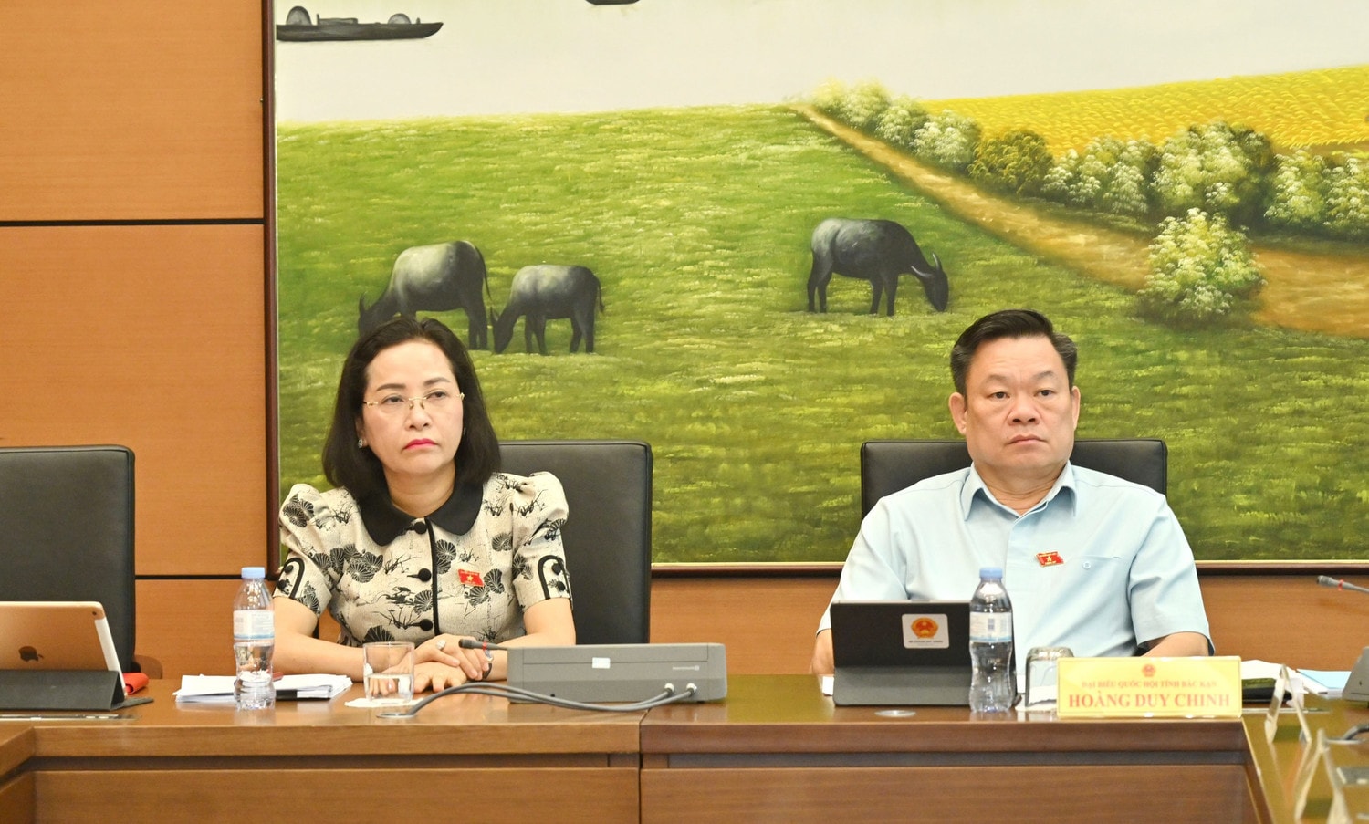 thi-thanh-389-4554.jpg