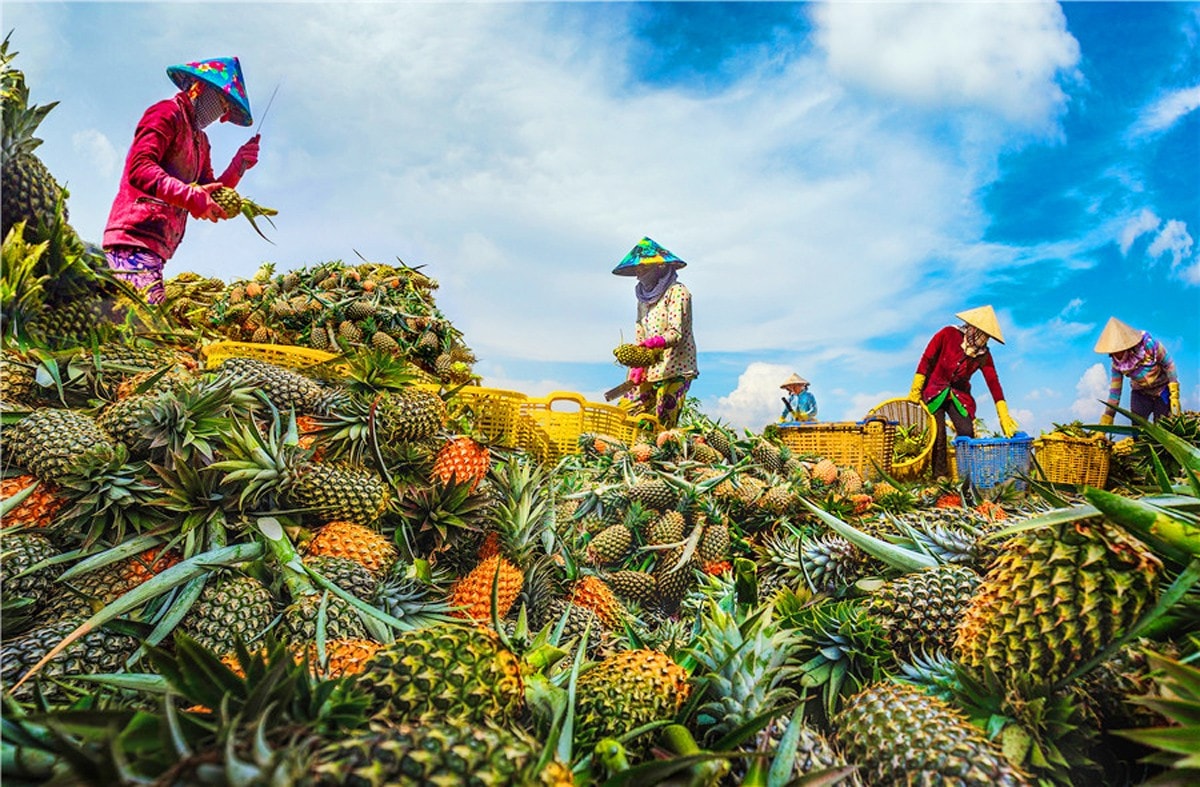 Việt Nam xây dựng và thực hiện hàng loạt chính sách hướng đến mục tiêu giảm nghèo đa chiều, bao trùm và bền vững. Ảnh: Thu Phương