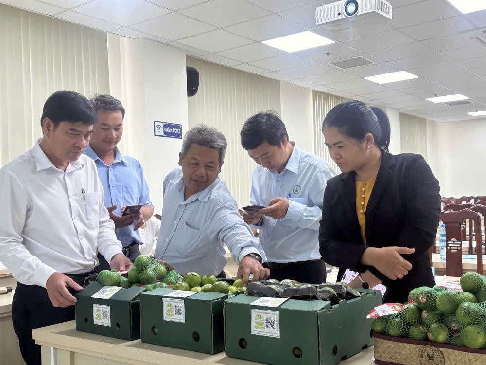 Chanh không hạt Long An dần khẳng định thương hiệu tại các thị trường khó tính. Ảnh: M. Hương