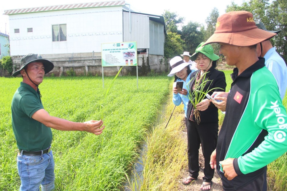 Ngành nông nghiệp tỉnh khảo sát mô hình canh tác lúa chất lượng cao giảm phát thải tại huyện Tân Thạnh. Ảnh: Bùi Tùng