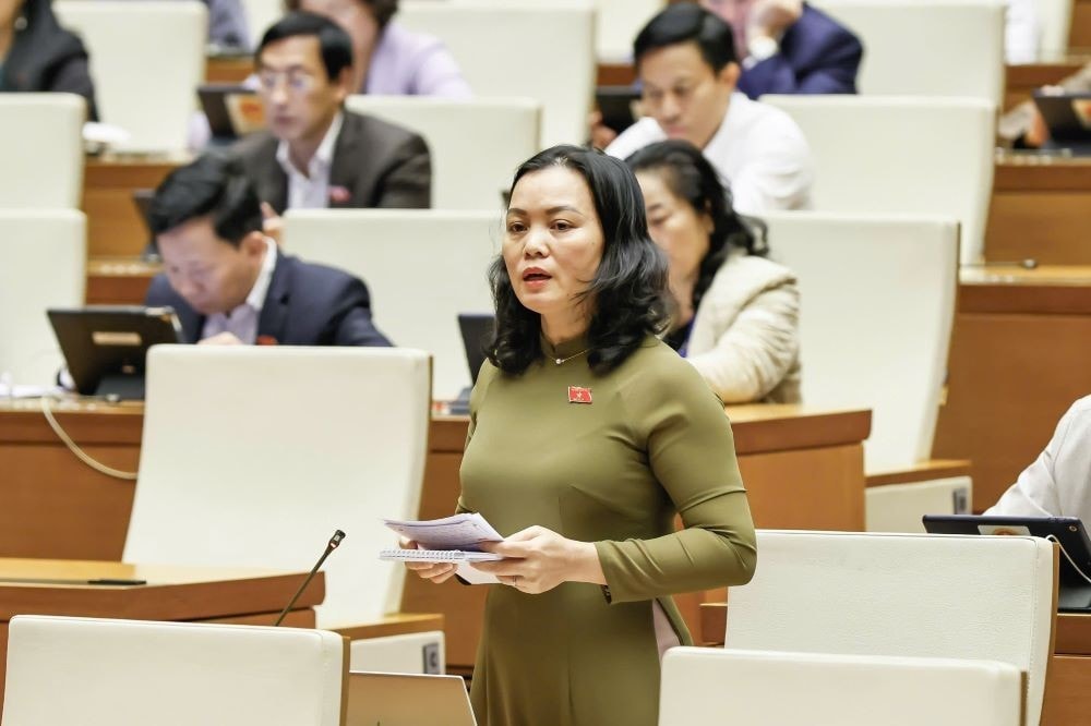db-phuc1.jpg