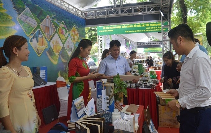 quangbasanphamcuatinh-01062024.jpg