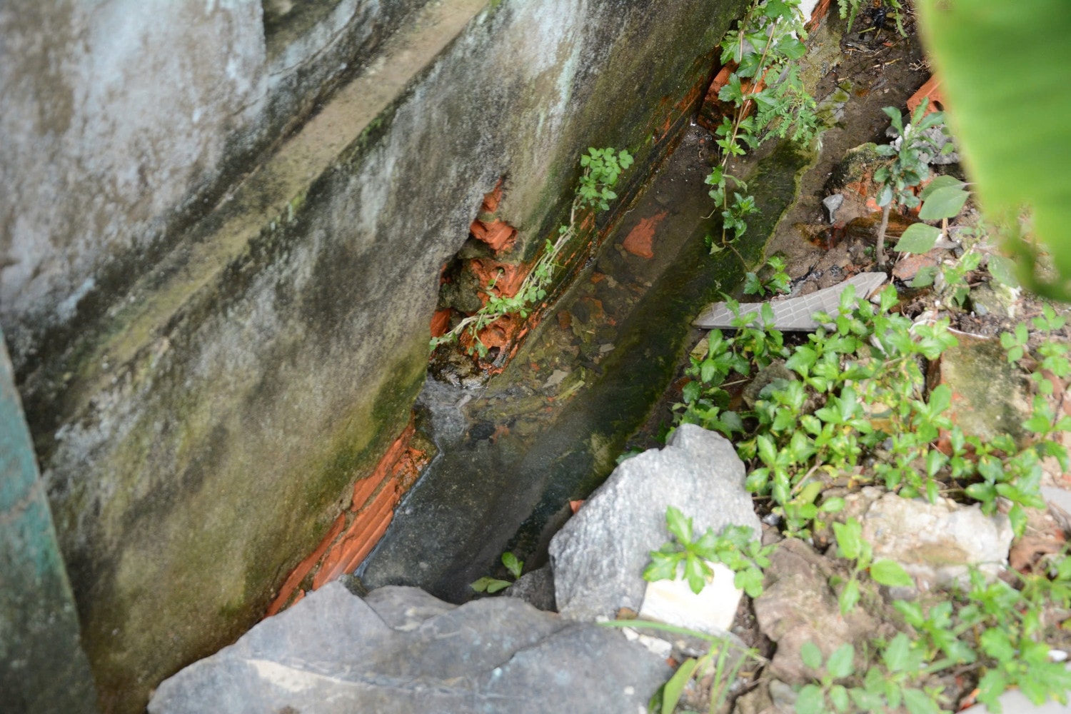 nuocthai-01.jpg