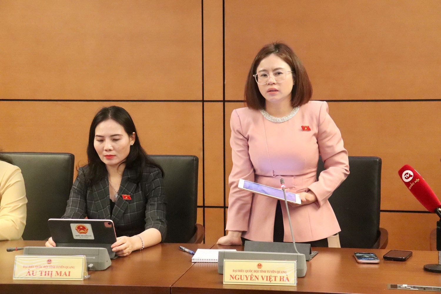 ĐBQH Nguyễn Việt Hà (Tuyên Quang) phát biểu. Ảnh: Trần Thu