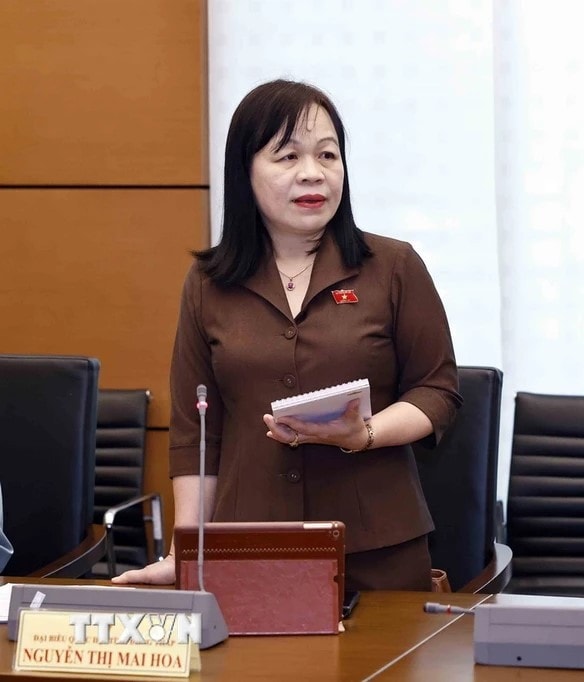 dbqh-nguyen-thi-mai-hoa-dong-thap.jpg