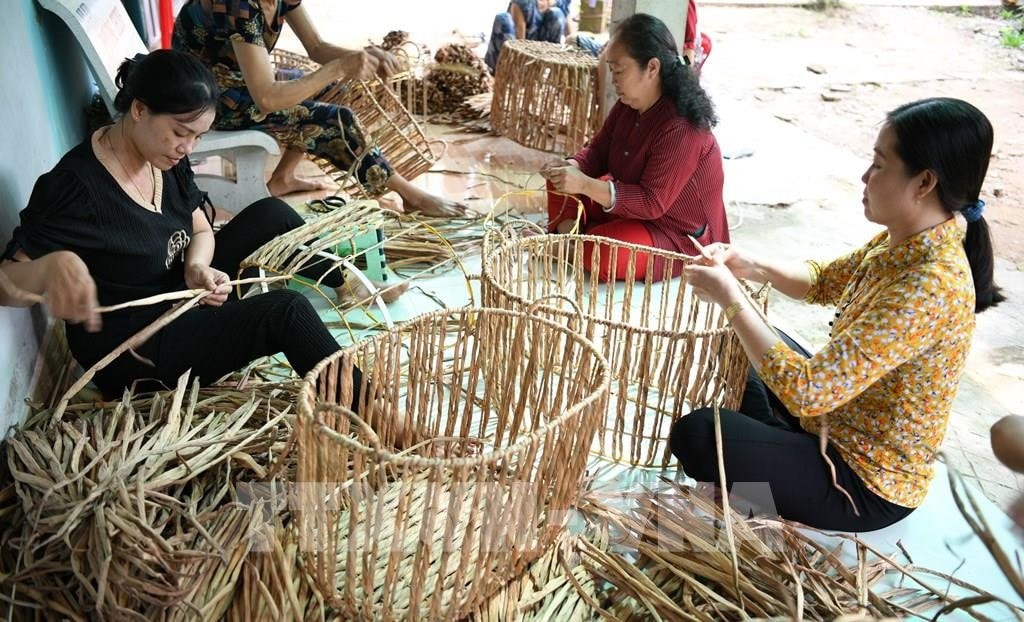 Nhiều mô hình sinh kế gắn với truyền thống địa phương giúp người dân Sóc Trăng nâng cao thu nhập. Ảnh: Tuấn Phi