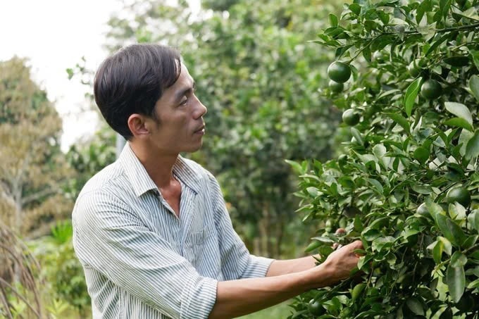 anh-bai-3.jpg