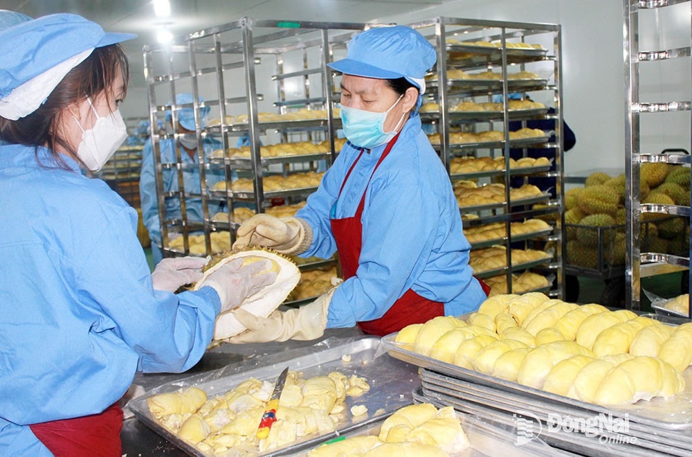 anh-bai-2.jpg