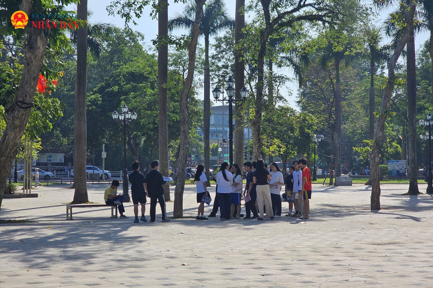 vuon-hoa-ly-tu-trong-ha-noi-2024-5.jpg