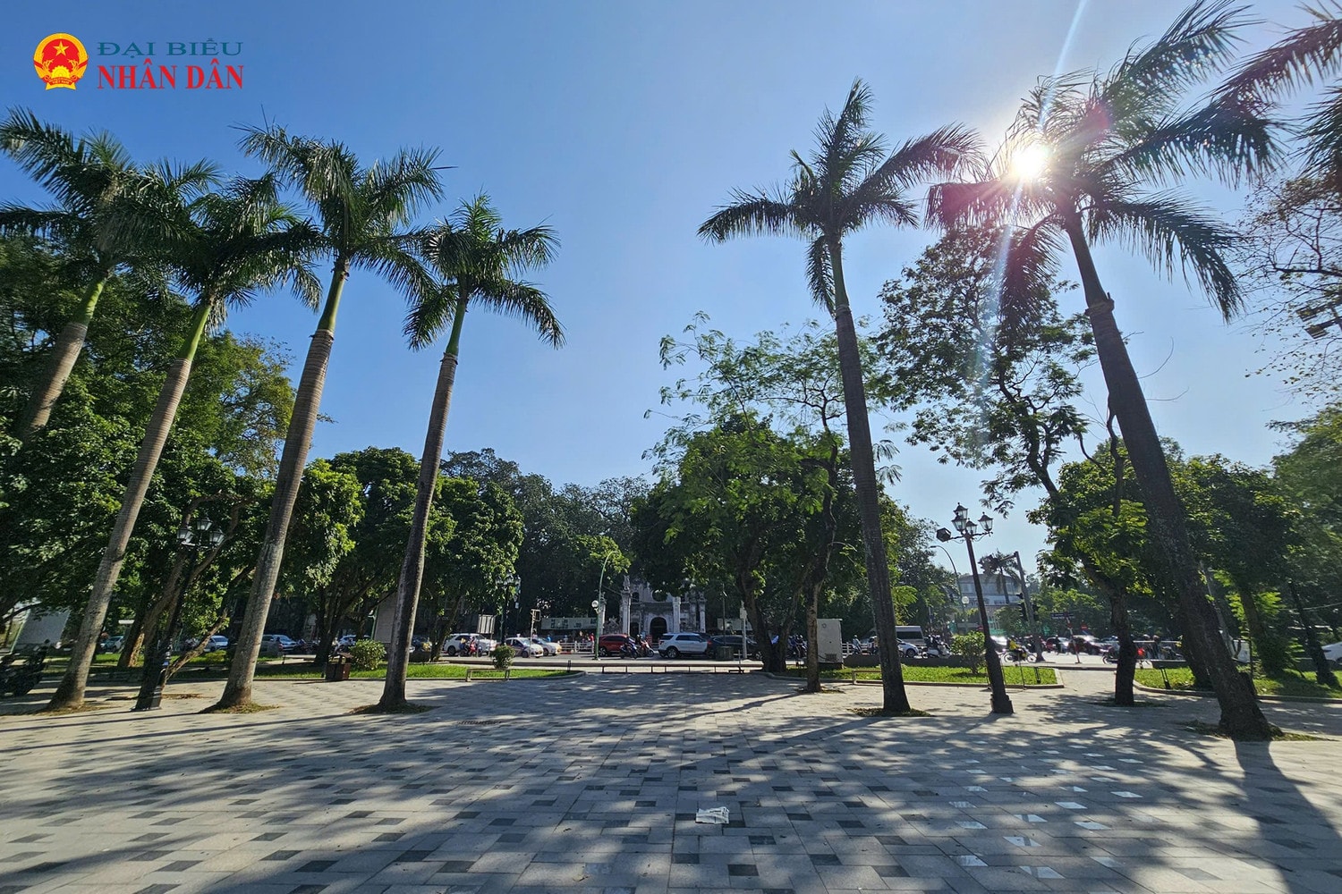 vuon-hoa-ly-tu-trong-ha-noi-2024-8.jpg