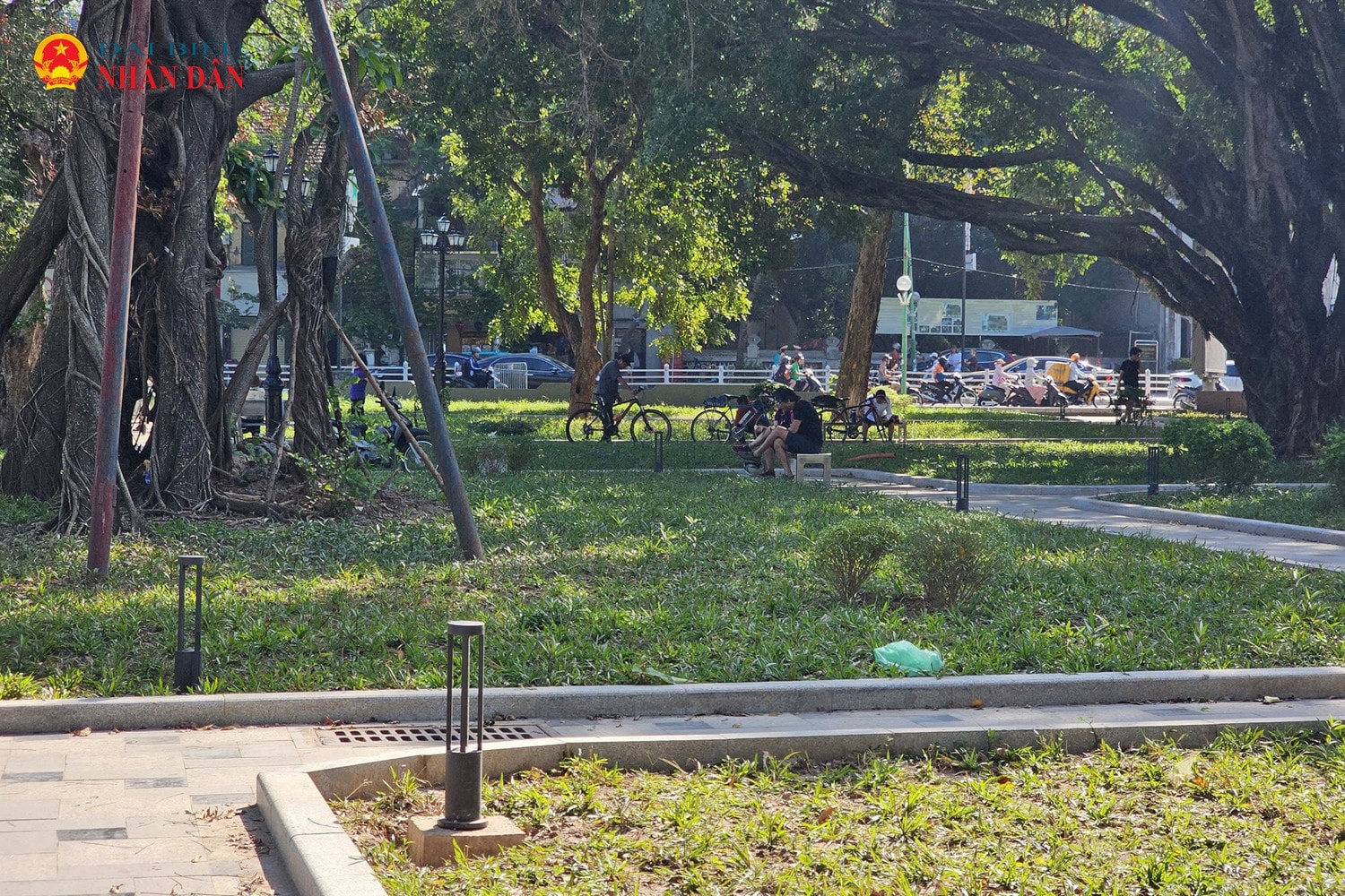 vuon-hoa-ly-tu-trong-ha-noi-2024-4.jpg