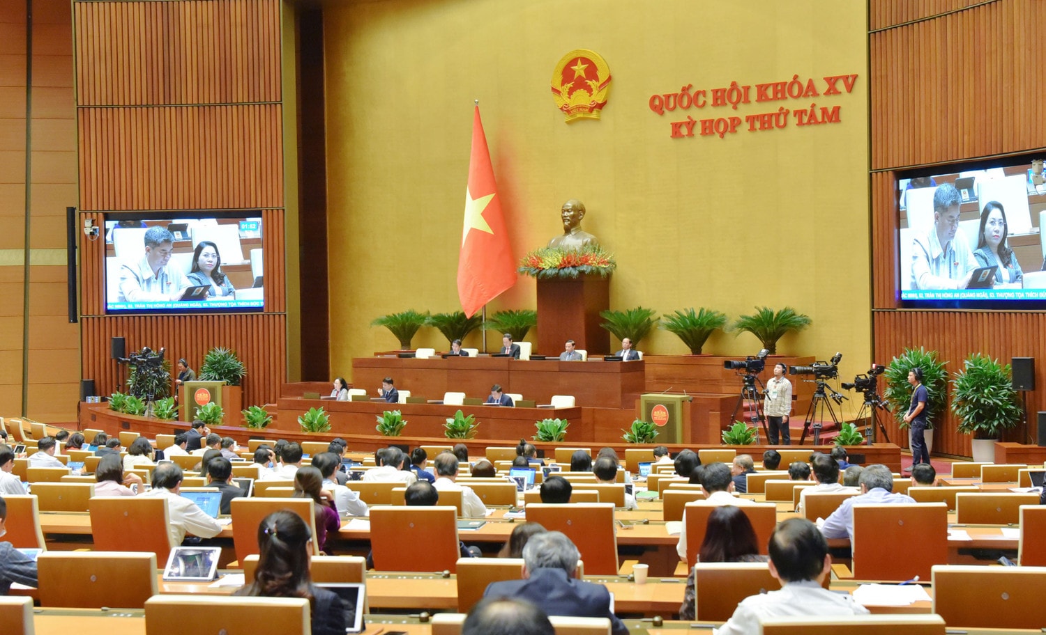 p1.jpg