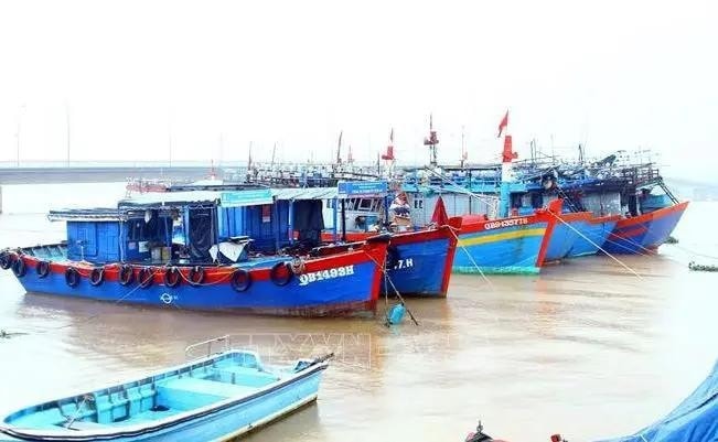 Starting November 2, the campaign has seen the deployment of four task forces as well as many naval vessels and inspection teams for a comprehensive examination of and crackdown on IUU fishing activities across the province. (Illustrative image - Source: VNA file photo) Starting November 2, the campaign has seen the deployment of four task forces as well as many naval vessels and inspection teams for a comprehensive examination of and crackdown on IUU fishing activities across the province. (Illustrative image - Source: VNA file photo)